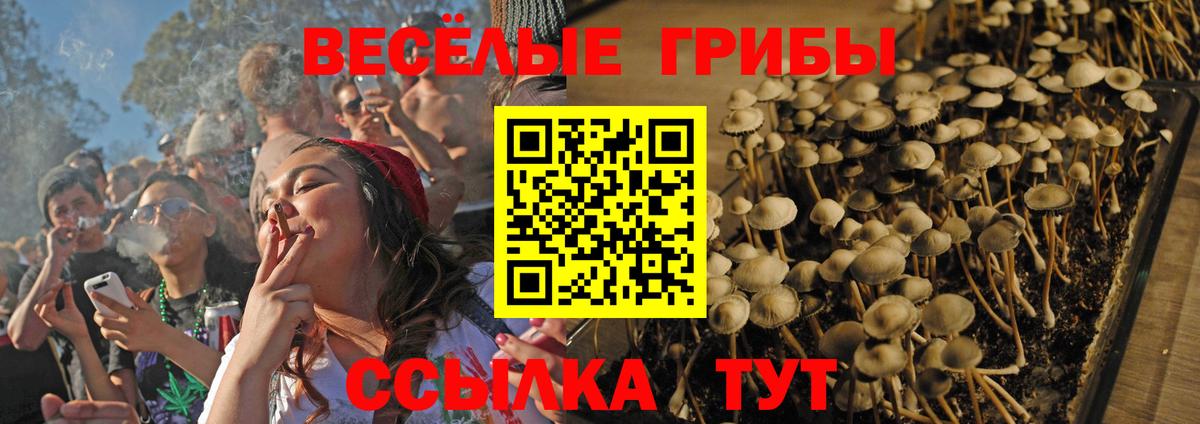 Псилоцибиновые грибы прущие грибы  Галлюциногенные грибы мухоморы  закладки  Тамбов  Вход с VPN 