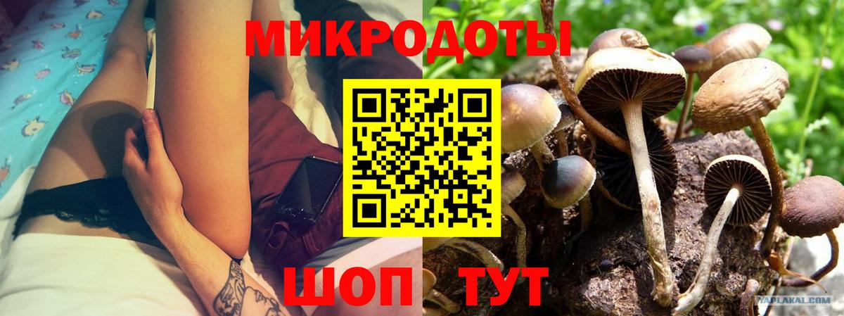 Галлюциногенные грибы Cubensis Тамбов